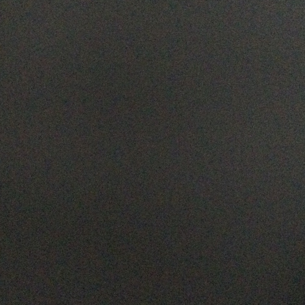 Meet your Posher, Bunny